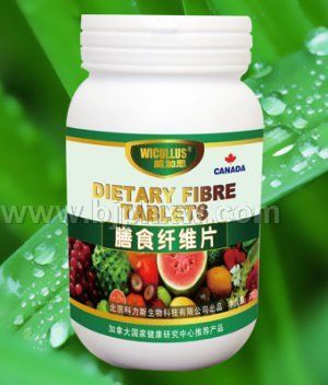 膳食纤维片—防止肥胖便秘冠心病——华夏医药网