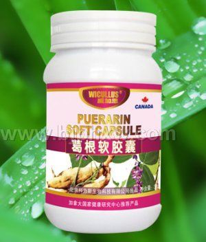 葛根黄酮软胶囊—丰胸美体保健康——华夏医药网