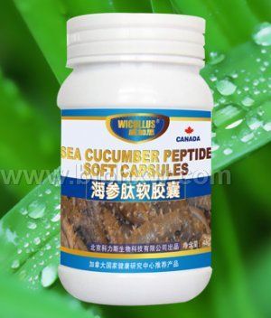 西洋参软胶囊—补气益血清虚火调五脏固精培元——华夏医药网