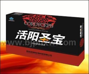 ����ʥ����������ҽҩ��