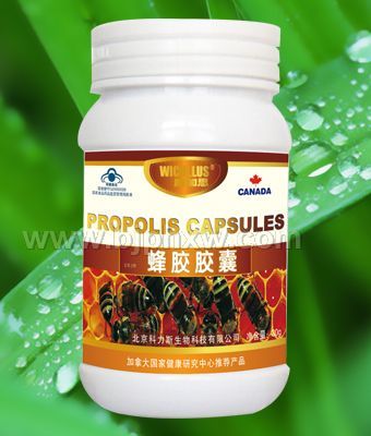 全国含量最高的蜂胶产品——蜂胶胶囊——华夏医药网